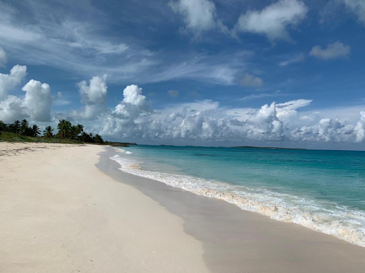 Turtles Nest Bahamas Apartment จอร์จทาวน์ ภายนอก รูปภาพ