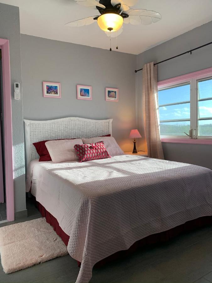 Turtles Nest Bahamas Apartment จอร์จทาวน์ ภายนอก รูปภาพ