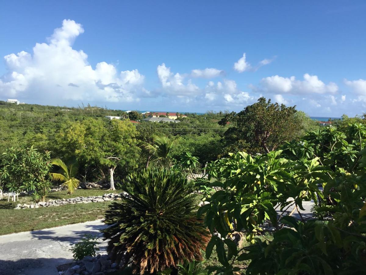 Turtles Nest Bahamas Apartment จอร์จทาวน์ ภายนอก รูปภาพ