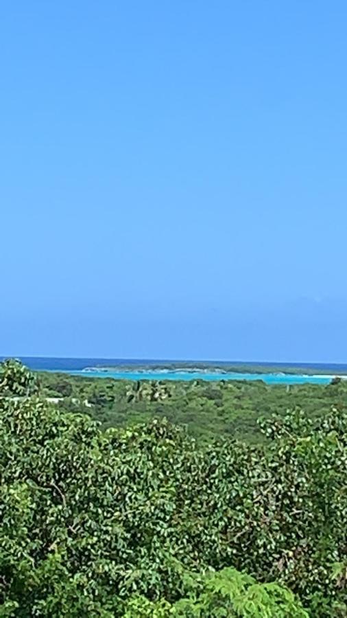 Turtles Nest Bahamas Apartment จอร์จทาวน์ ภายนอก รูปภาพ