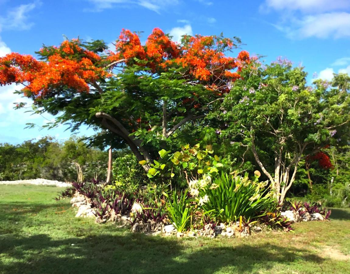 Turtles Nest Bahamas Apartment จอร์จทาวน์ ภายนอก รูปภาพ